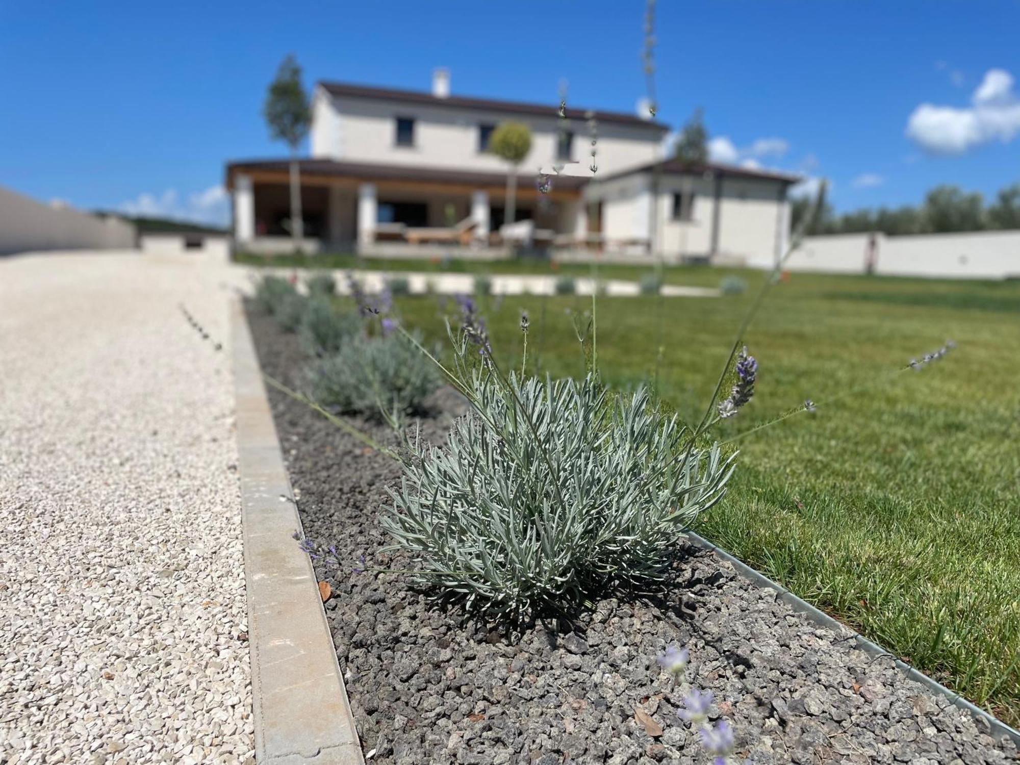 Villa Lydia Marčana Exterior foto